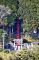 雛人形の展示段数日本一！伊豆稲取温泉「素盞鳴utf-8