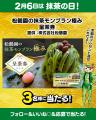 【愛知県西尾市ふるさと納税】2月6日は抹茶の日！西尾