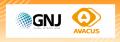 Avacus、GLOBAL NETWORK JAPANと戦略的業務提携を締結