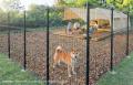 【茨城県常総市】愛犬と泊まれるサイトを設置。RECAMP