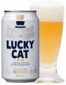 2月22日猫の日\逃げ出したLUCKY CATを探せ!/目撃情 2月22日猫の日\逃げ出したLUCKY CATを探せ!/目撃情