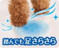 吸収性能がアップした犬用ペットシーツ 『エリエールP