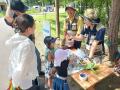 自然・食・創作を1日で体験「公園サポーター体験会」