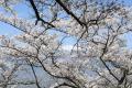 YouTube LIVE　安曇野から登る絶景の山旅へ ～北アル