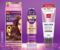 WELLATONシリーズより カラーでパサついた髪にまとま
