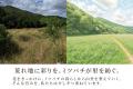 熊被害からの復旧の先へ――兵庫県宍粟市の養蜂家utf-8