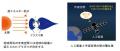 【岡山大学】人工衛星の帯電を「光」で検知するシリコ