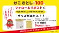 加古里子 生誕100年記念企画 2026年3月より実施