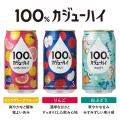 『果実100%の、贅沢。』100%カジューハイが文具女子博 『果実100%の、贅沢。』100%カジューハイが文具女子博