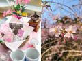 ＜1日1棟限定＞ 花粉・寒さゼロの「インドアお花utf-8