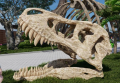 ラグナシアが恐竜に襲われる!? 『ラグナシア恐竜ラ ラグナシアが恐竜に襲われる!? 『ラグナシア恐竜ラ