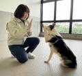 【残り6日】「人と動物が共生するまち」を目指して、