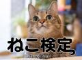 「ねこ検定」受験者・賛同者らの思いを届け、総額650,