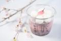 【船橋屋こよみ】春の風物詩・桜をテーマにした和洋ス