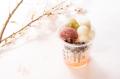 【桜の季節限定】春の訪れを告げる桜尽くしの「桜白玉 【桜の季節限定】春の訪れを告げる桜尽くしの「桜白玉