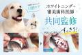 ホワイトニング・審美歯科医師監修デンタルケア、愛犬