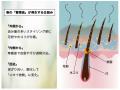 「ひとときのしずく」が“頭皮のにおい”についてutf-8