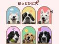 全国でも珍しい“大型犬セラピードッグカフェ” !? | 大