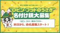スーパーみたいでスーパーじゃない「驚楽(きょうutf-8