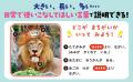 まちがいさがしで子どもが説明上手になる！--動物園・