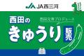 #19西田選手のきゅうり販売にサメ釣り、今日のビート #19西田選手のきゅうり販売にサメ釣り、今日のビート
