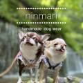 愛犬と一緒に買い物を楽しむ！『＆DOG SHOPPINGutf-8