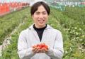 収穫後期に採れる熊本産いちごを活用！果実のフードロ