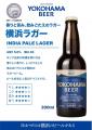 【横浜モアーズ限定】カフェで本格アルコールを楽しむ