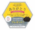 一気にたためるバッグ「Shupatto（シュパット）」シリ