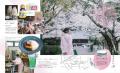 桜咲く愛媛・松山で、春のときめき探しフリーペutf-8 桜咲く愛媛・松山で、春のときめき探しフリーペutf-8