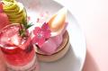 【水戸プラザホテル】3/15より販売スタート！桜が彩る