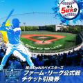 【横須賀市ふるさと納税限定】横浜DeNAベイスターズと
