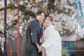 【浅草・桜】婚礼和装専門スタジオ「INAI WEDDING WAS