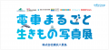 【株式会社横浜八景島】７つの水族館・動物園・遊園地