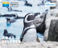 【株式会社横浜八景島】７つの水族館・動物園・遊園地