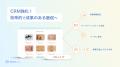 Shopifyサイトでブランド・記事などのお気に入りが実