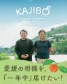 【愛媛から春の味覚】“柑橘の大トロ”「せとか」出荷開