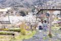 関東有数 2,500本の桜が咲き誇る「さがみ湖桜まつり」