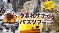 春のイベント・特別プランおよび、ホワイトタイガー展
