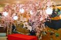 メインロビーに枝垂れ桜のフォトスポットが登場！春限