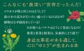散歩のお供に、食卓の話題に使える、たくましく生き抜