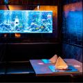 【新しい美食空間】鮨×天麩羅×ステーキ×アクアリウム