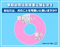 【犬 VS 猫】令和の現役高校生は圧倒的に“犬推し”とい 【犬 VS 猫】令和の現役高校生は圧倒的に“犬推し”とい