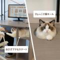 ミドルタワーPC収納付き「猫ハウスデスク」発売。4つ