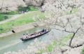 岡崎城公園で「舟あそび」運航 桜を水上から楽しむお 岡崎城公園で「舟あそび」運航 桜を水上から楽しむお