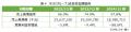 「倒産事例から見る中国企業の定量・定性分析レポート 「倒産事例から見る中国企業の定量・定性分析レポート