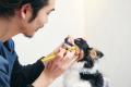 愛犬の健康寿命を支えるオーラルケアへ特許製法“ピラ