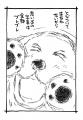 保護犬と老猫とのかけがえのない日々を描く西原理恵子