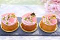 【箱根エモア・テラス】箱根の春を味わう“桜スイーツ”