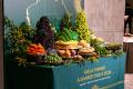 Horticulture Innovation Australia、日豪園芸農utf-8